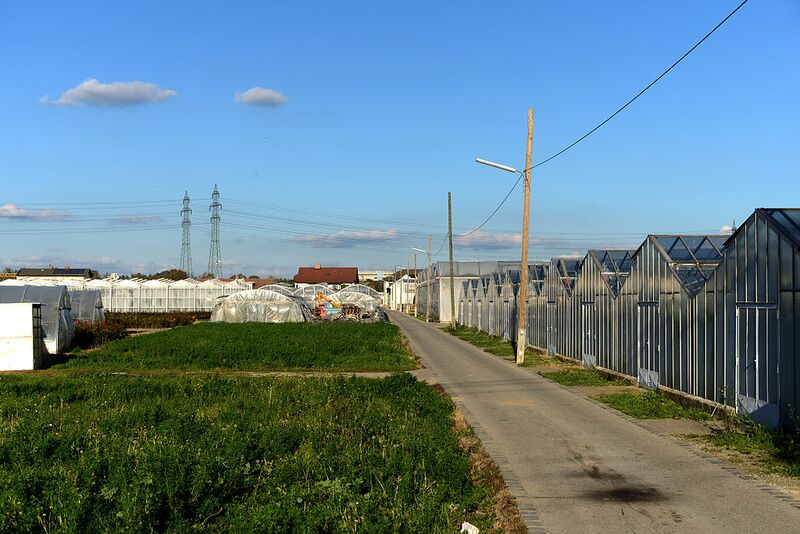 Datei:11 9. Haidequerstraße.jpg