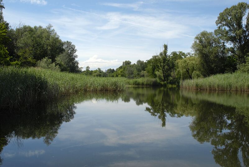 Datei:22 Mühlwasser.jpg