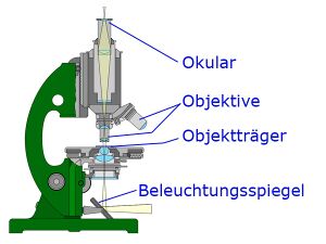 Aufbau Lichtmikroskop.jpg