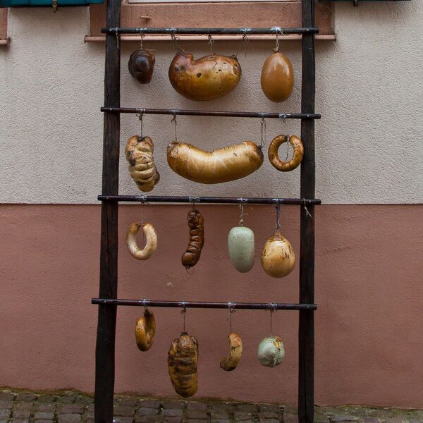 Datei:Güldene Schlange Fleischer.jpg