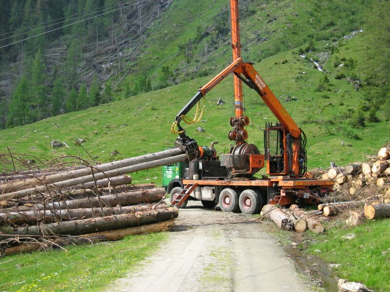Datei:Holzschlägerung.jpg