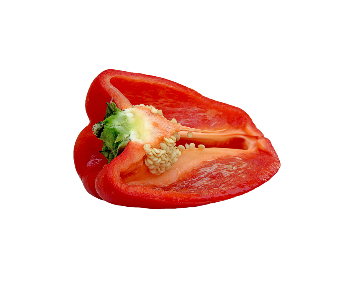 Paprika/einfach – KiwiThek