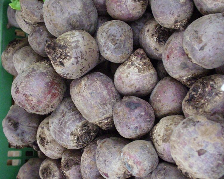 Datei:Rote Rüben.jpg