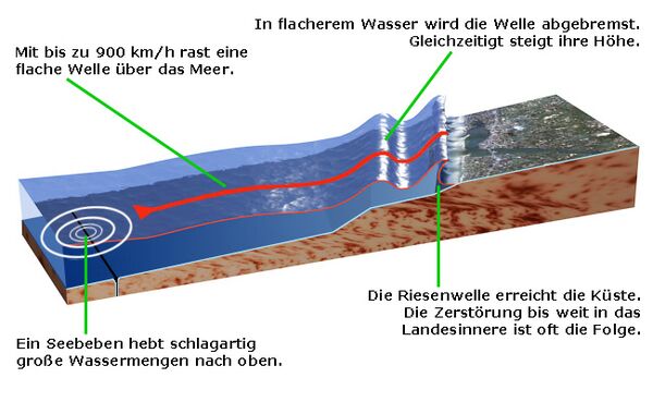 Tsunami – KiwiThek